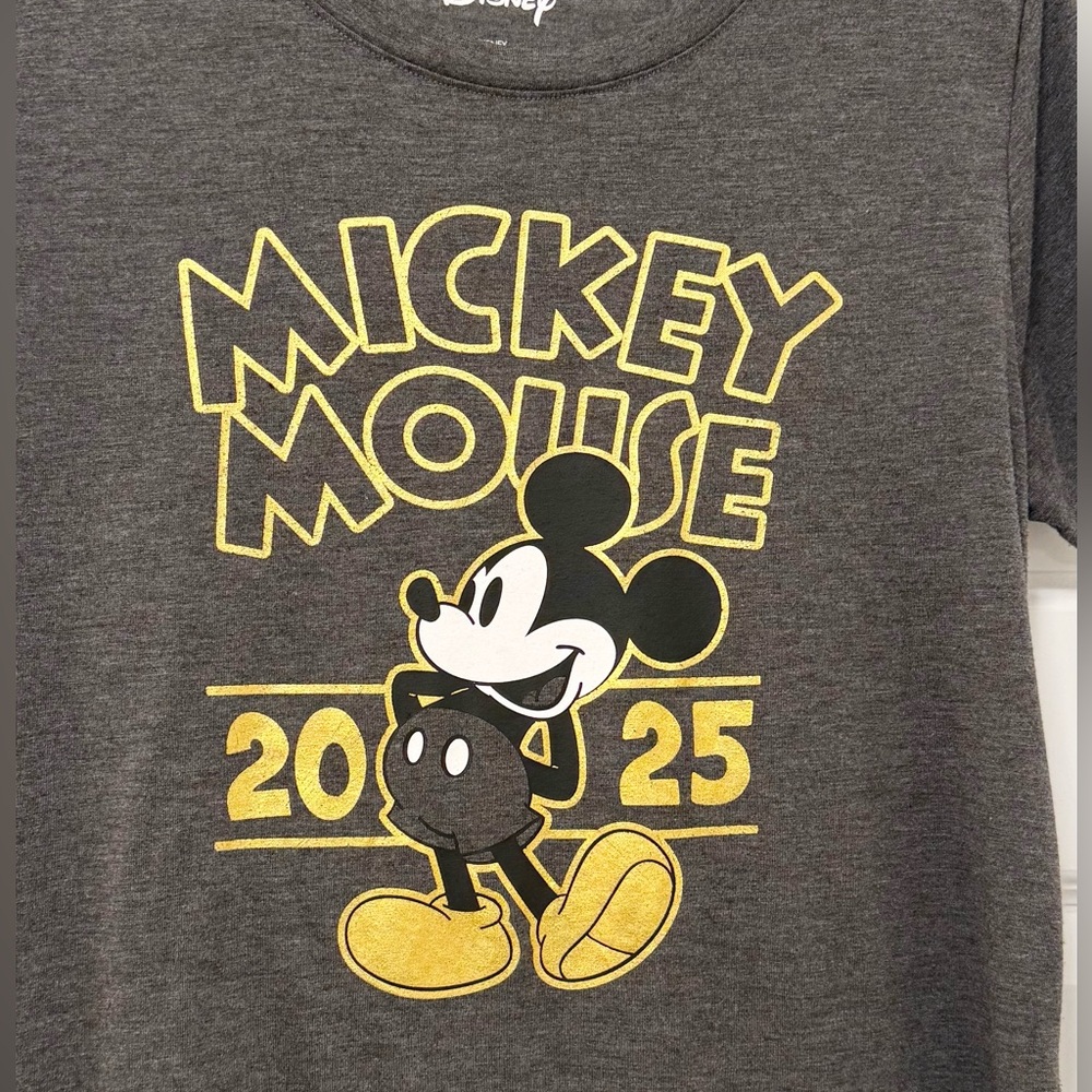 Disney Mickey Mouse Gray 2025 Short Sleeve Top Women’s Size M - Picture 3 of 6